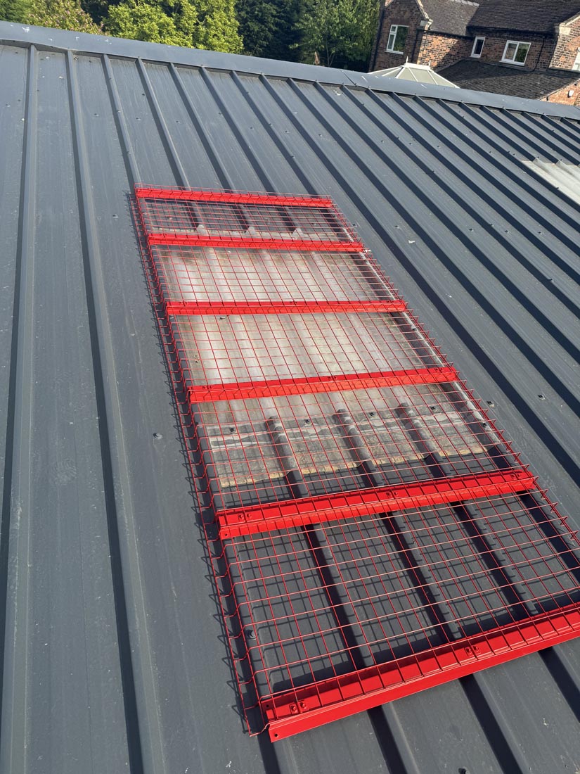 Safe Light Rooflight Protection